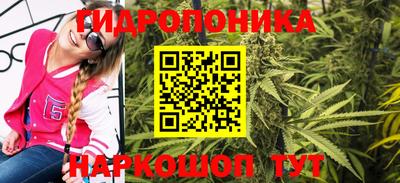 кокс Нальчик